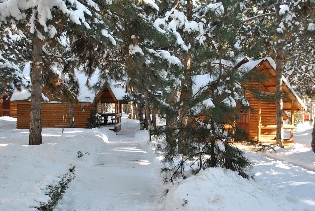 Kompleks Otdykha Elki-Palki Hotel Odessa Buitenkant foto